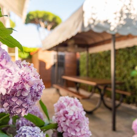 Apartment Holiday Versilia カマイオーレ エクステリア 写真